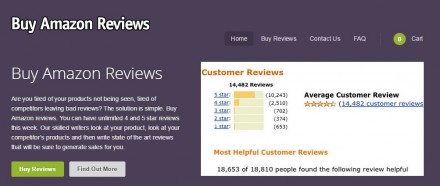 BuyAmazonReviews.com ist eine von vier beklagten Sites (Screenshot: ZDNet.de).