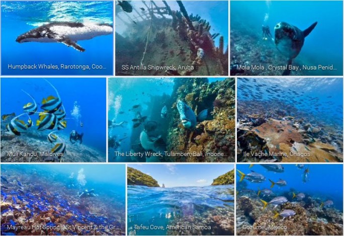 Google hat Street View um 40 Aufnahmen aus der Welt unter Wasser ergänzt (Screenshot: ITespresso bei Google).