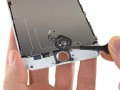 iphone-touch-id (Bild: iFixit)