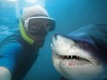Selfie_with_shark_shutterst