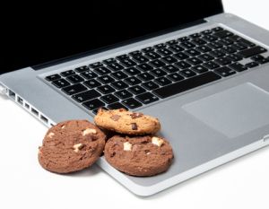 (Bild: shutterstock / Michael H Reed)