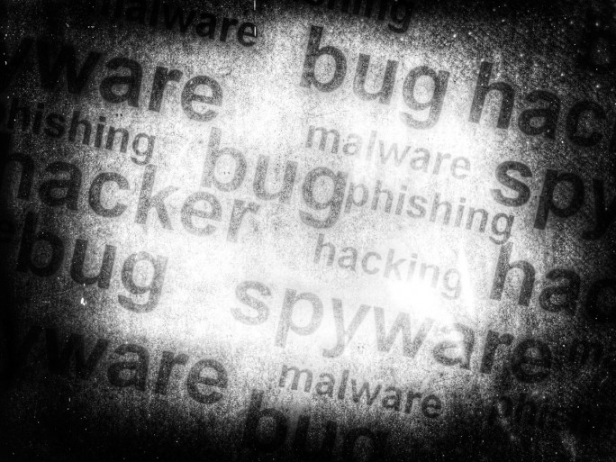 Bug Security (Bild: Shutterstock)