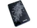 toshiba-store-art4-hw-08