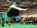 43-cebit2011-danny-ecker-sports-and-health