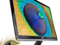 dellduenn1