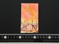 IGZO-Displays von Sharp