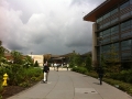 microsoft-campus-02